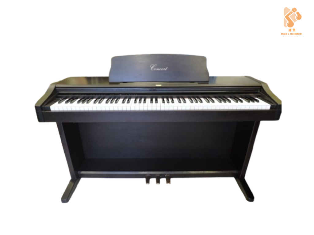 KORG - C303 ( LIKE NEW )
